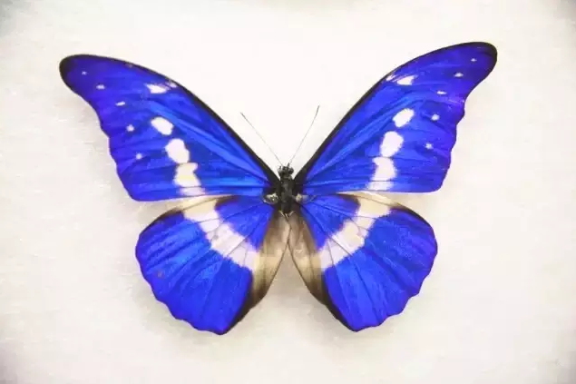 8.png 8.png